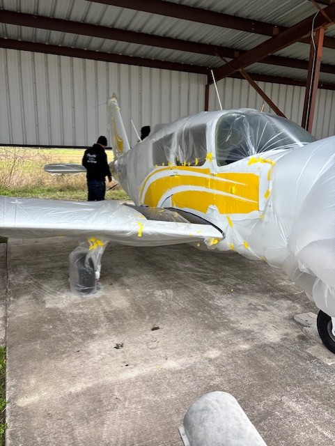 Level 3 — APA Professional